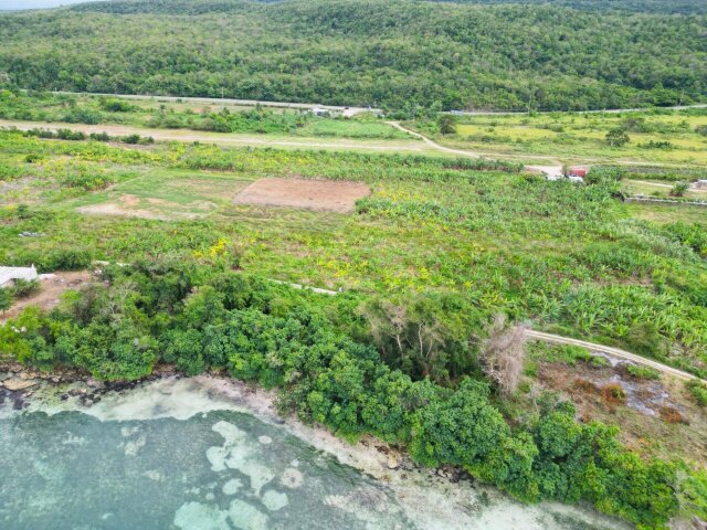 Land For Sale| Braco And Lancaster, Trelawny