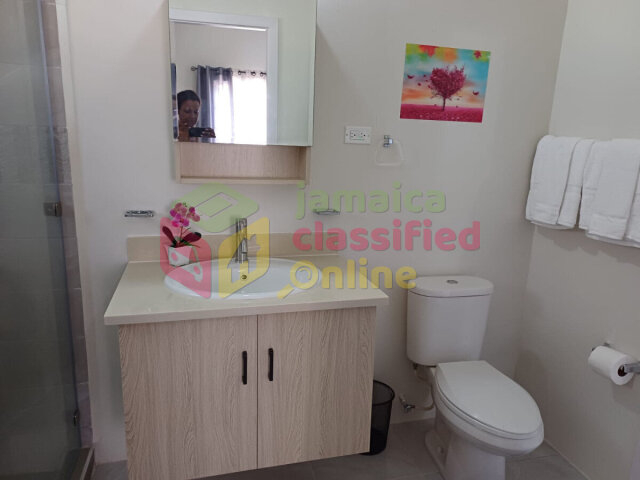 Executive 2 Bedrooms with Ocean View in St Ann