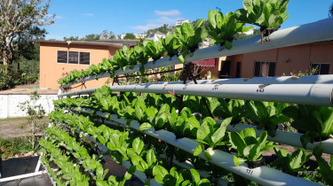 Hydroponic System Other Market Red Hills