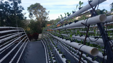Hydroponic System