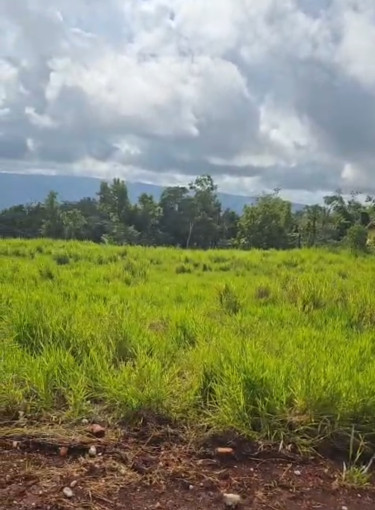 1/2 Acre