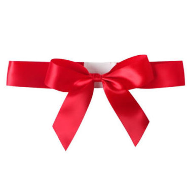 Ribbons And Bows  Decorations RoehamtAnchovy District 