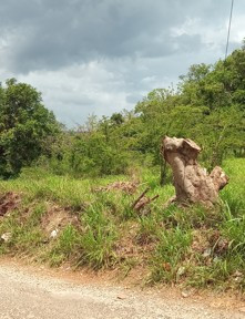 1 Acres Land With View