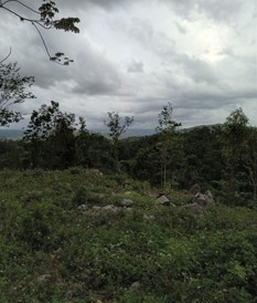 1 Acres Land With View