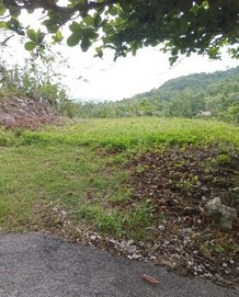 1 Acres Land With View Land Coffee Grove, Manchester