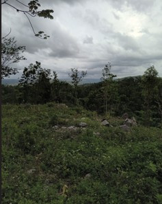 1 Acres Land With View