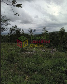 1/3 Acres Land With View