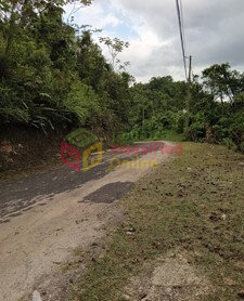 1/3 Acres Land With View