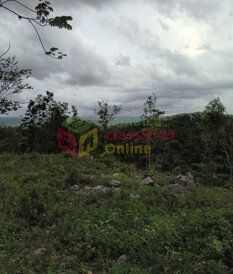 1/3 Acres Land With View