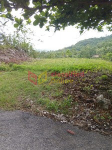 1/3 Acres Land With View