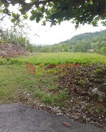 1/3 Acres Land With View Land Coffee Grove, Manchester