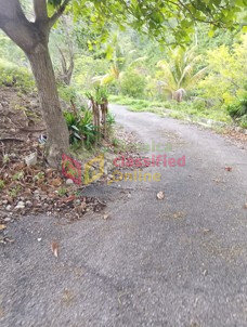 1/3 Acres Land With View