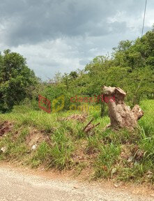 1/3 Acres Land With View