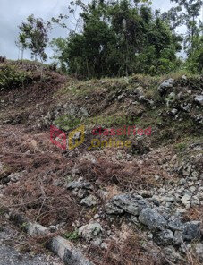 1/3 Acres Land With View