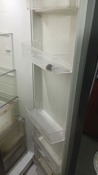 Whirlpool Side By Side As Is