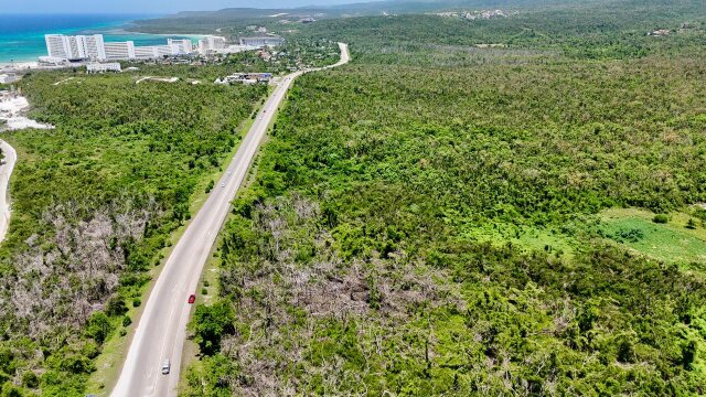 Development Land For Sale| Sandy Ground, Trelawny