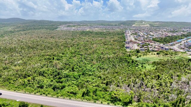 Development Land For Sale| Sandy Ground, Trelawny