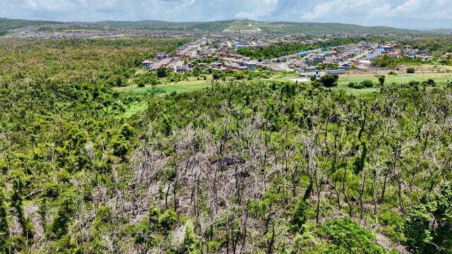 Development Land For Sale| Sandy Ground, Trelawny