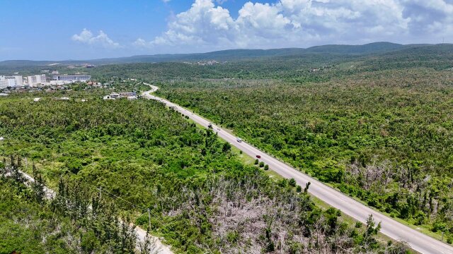 Development Land For Sale| Sandy Ground, Trelawny