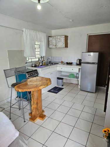 1 Bedroom Short Term Rental In Liguanea 