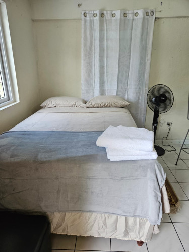 1 Bedroom Short Term Rental In Liguanea 