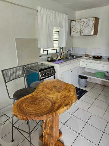 1 Bedroom Short Term Rental In Liguanea 