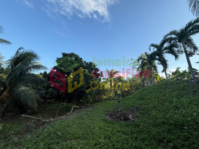 2 Acres Of Fertile Land +2 Bedrooms House