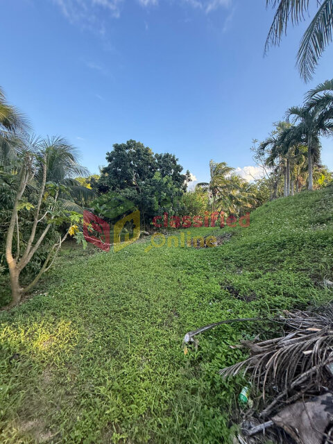2 Acres Of Fertile Land +2 Bedrooms House