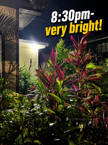 Solar Flood Lights