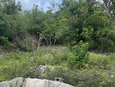 1 And Quarter Acre 