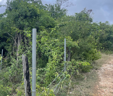 1 And Quarter Acre  Land Bull Savannah