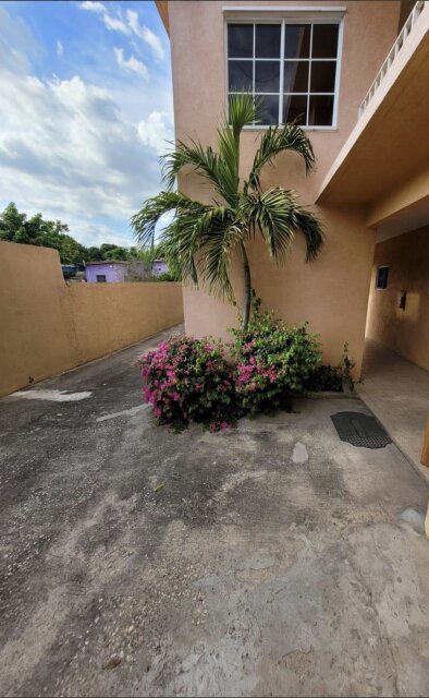 Cozy 1 Bedroom Studio with Parking Available