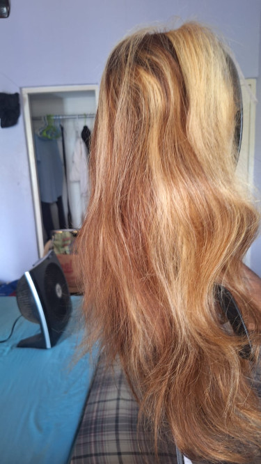 16' Ombre Lacefront Wig. 100% Human Hair 