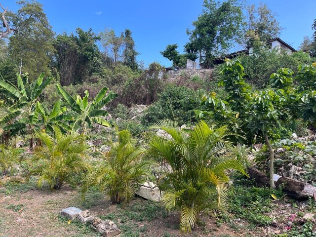 Land For Sale| Queens Drive, Montego Bay