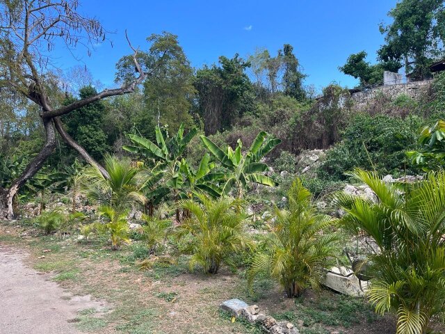 Land For Sale| Queens Drive, Montego Bay