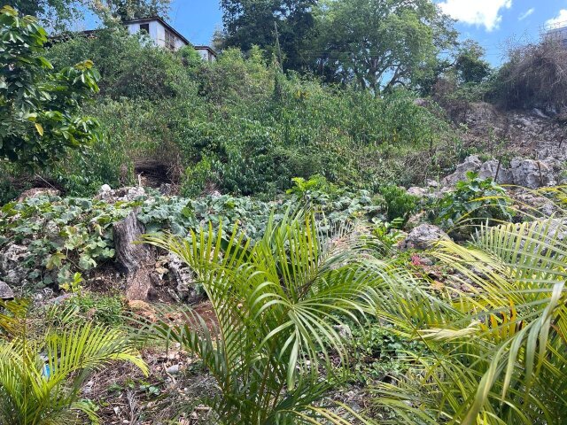 Land For Sale| Queens Drive, Montego Bay