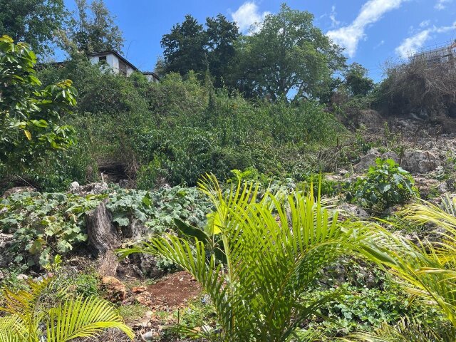 Land For Sale| Queens Drive, Montego Bay