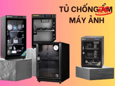 Tu Chong Am Chinh Hang Houses New York