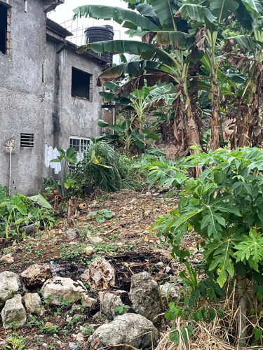 House For Sale In St. Ann [Incomplete]