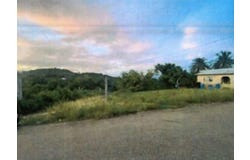 Land For Sale In St. Elizabeth