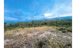 Land For Sale In St. Elizabeth