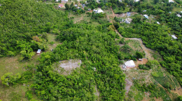 Land For Sale In St. Elizabeth Land Leeds