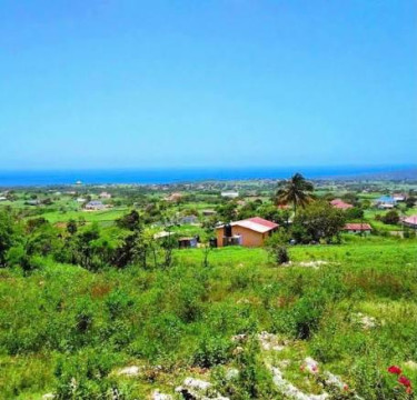 Land For Sale In St. Elizabeth