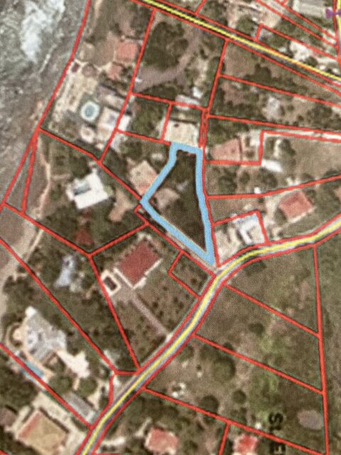 One Third Acre Property Treasure Beach Land Treasure Beach