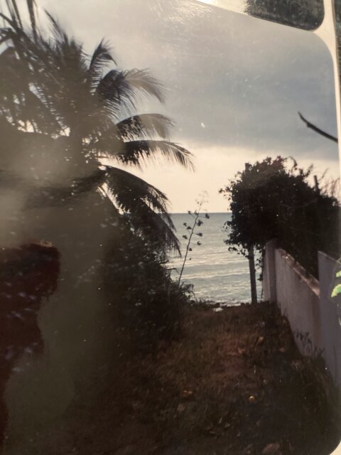 One Third Acre Property Treasure Beach