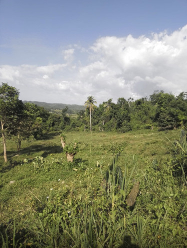 1/4 Acres