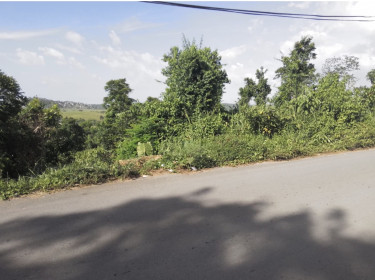1/4 Acres