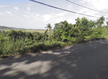 1/4 Acres
