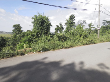 1/4 Acres