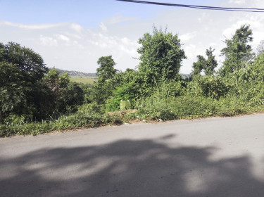 1/4 Acres Land Clark’s Town 